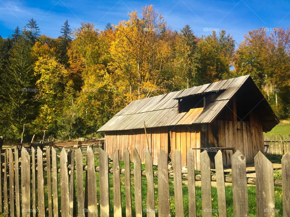 Wooden barn in the forest surrounded by wooden fence on a sunny autumn day