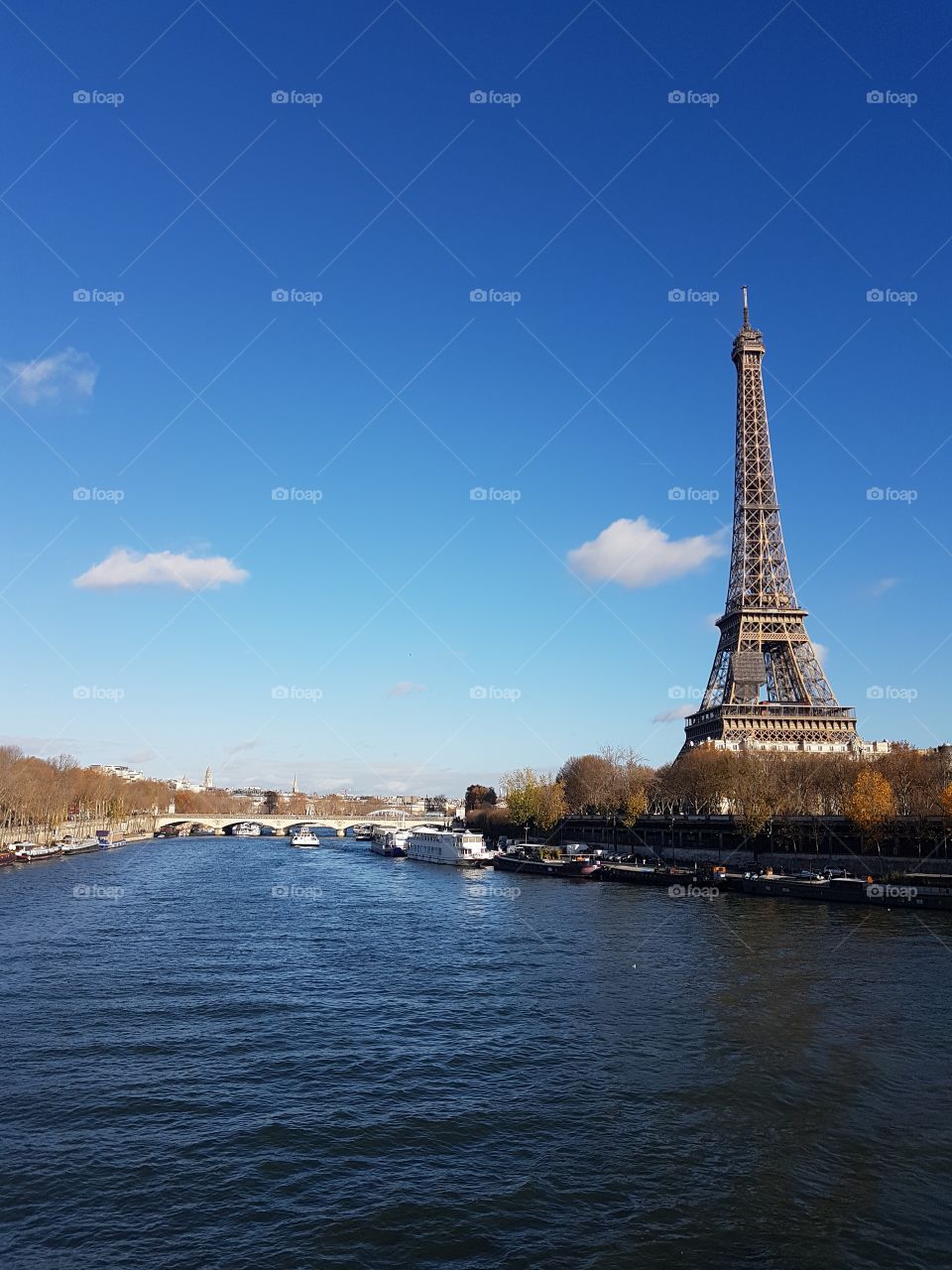 Eiffel Tower with River Seine