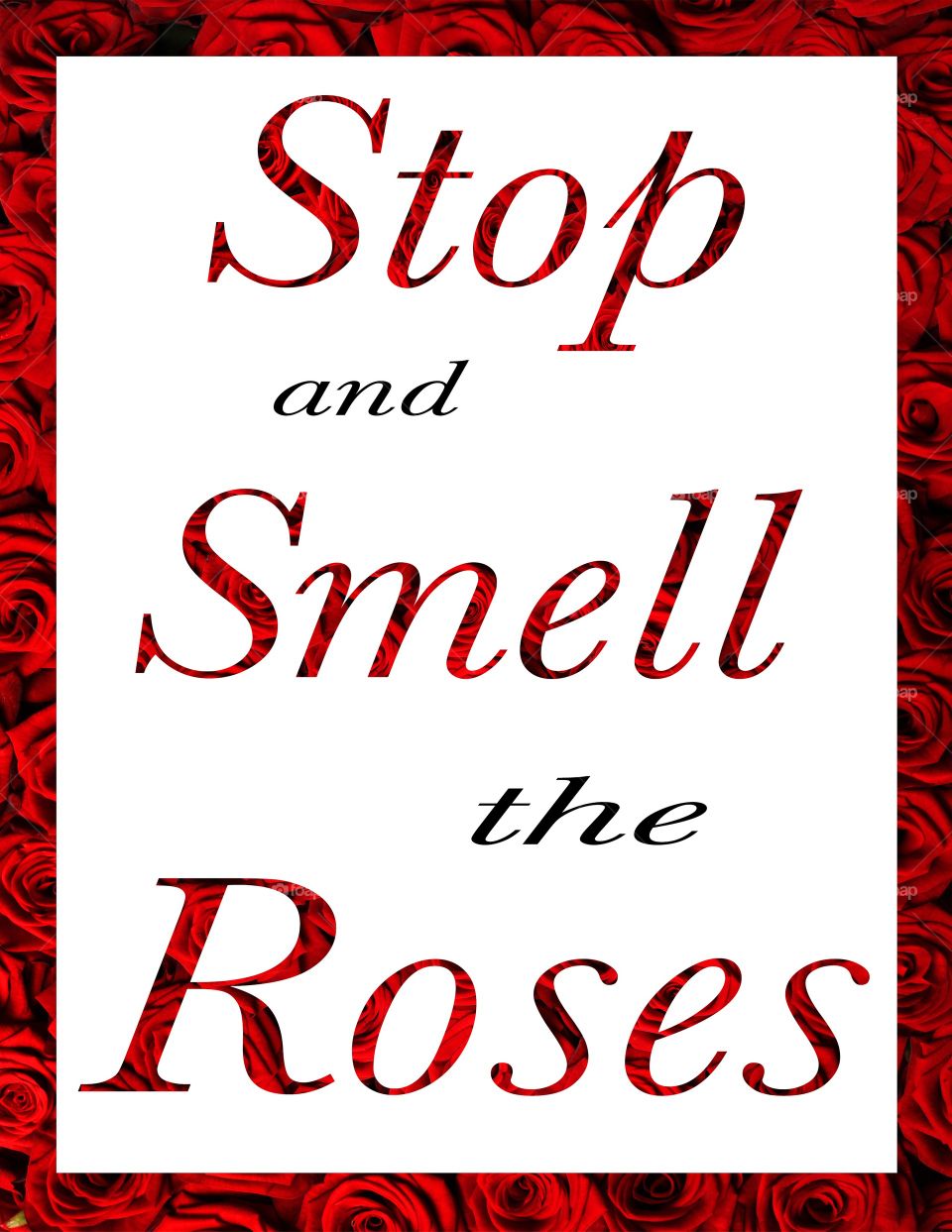 Stop and smell the roses 