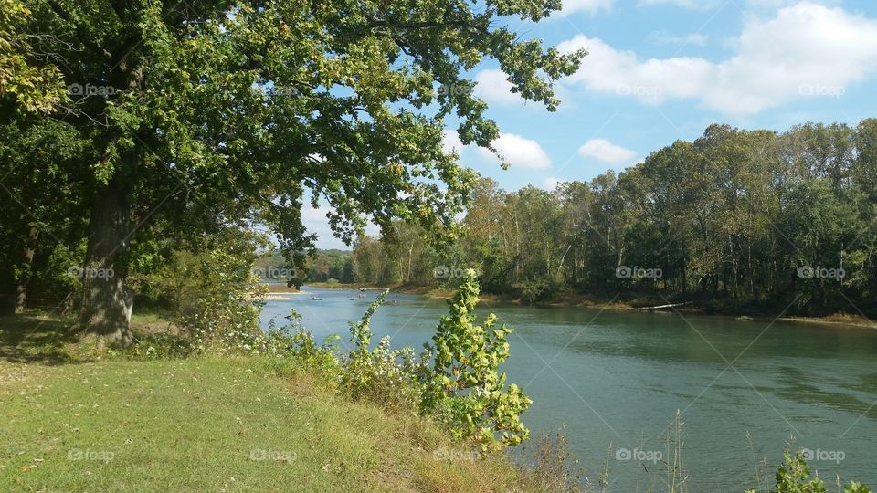 Water, Tree, Landscape, Nature, River