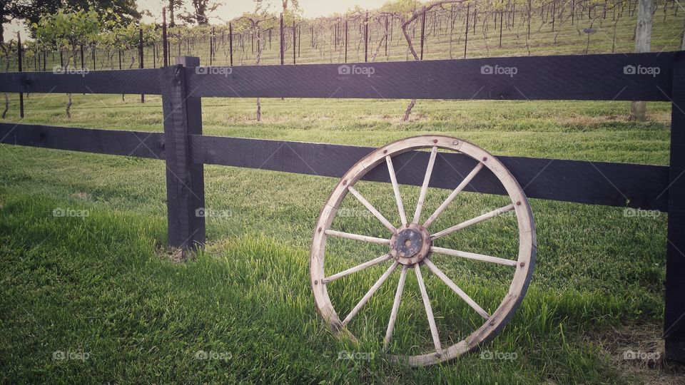 Vineyard Wagon Wheel