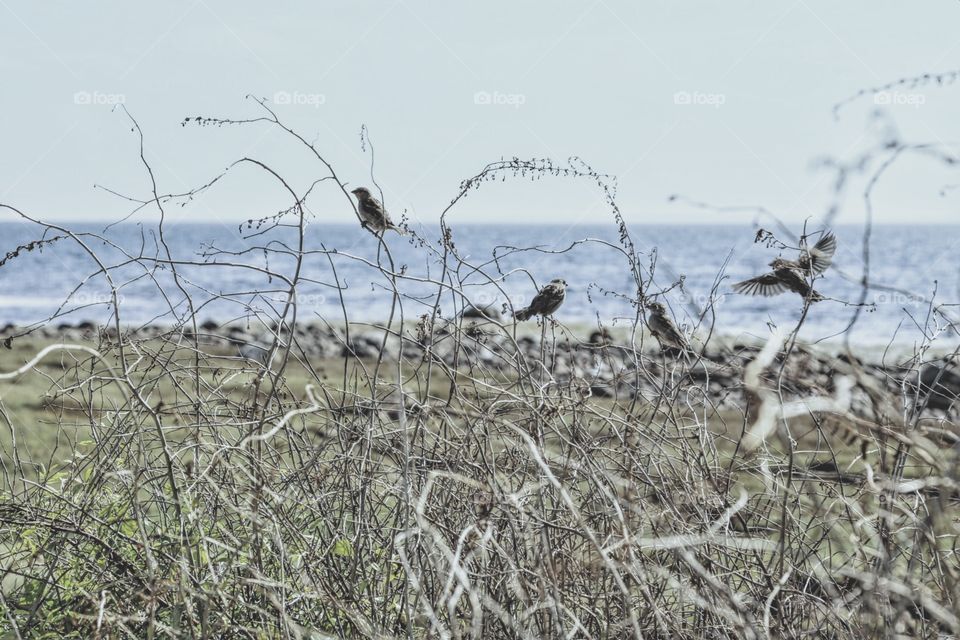 Cloudy day at the coast