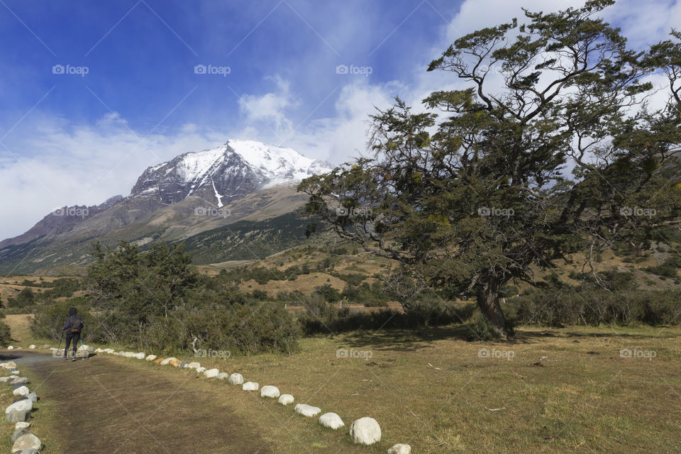 The mountain and the blue sky.