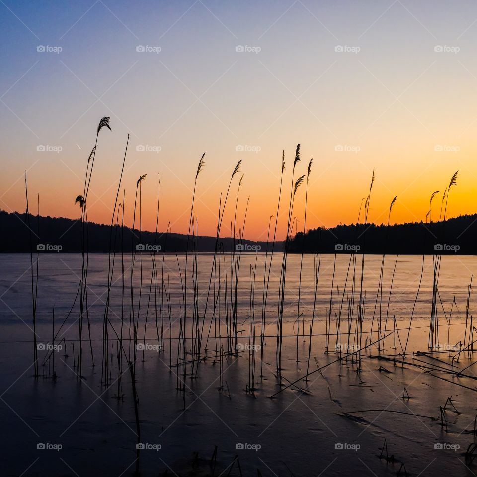 Sunset, Dawn, Water, Sea, Beach