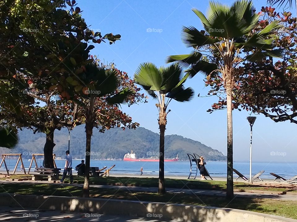 Beach .Santos Brasil