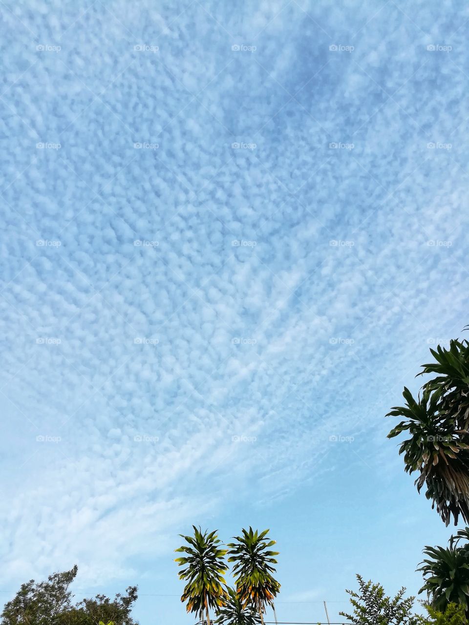 Cloud and blue sky