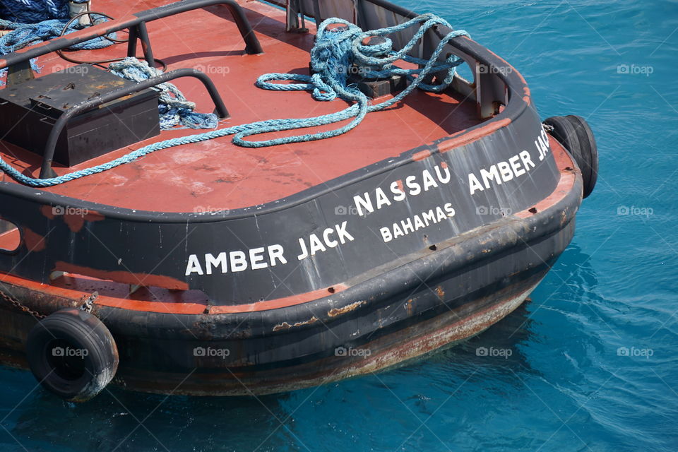 Amber Jack // Nassau, Bahamas 