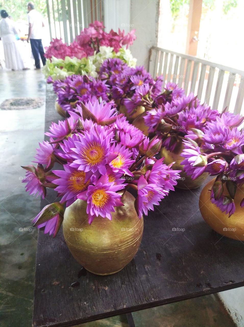 how nice to see this pitcher