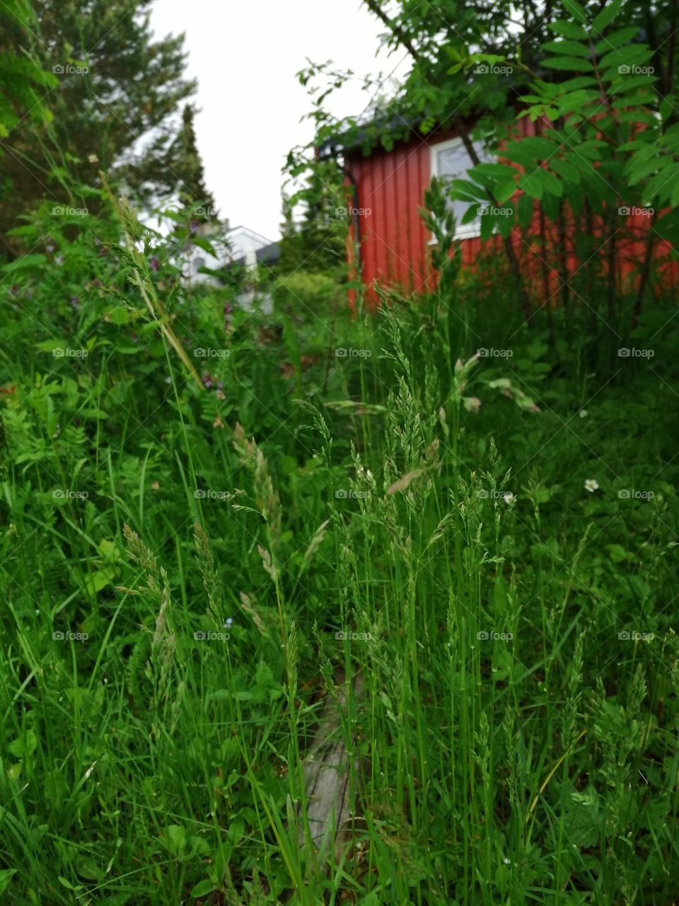 will just stay here for a while 😀