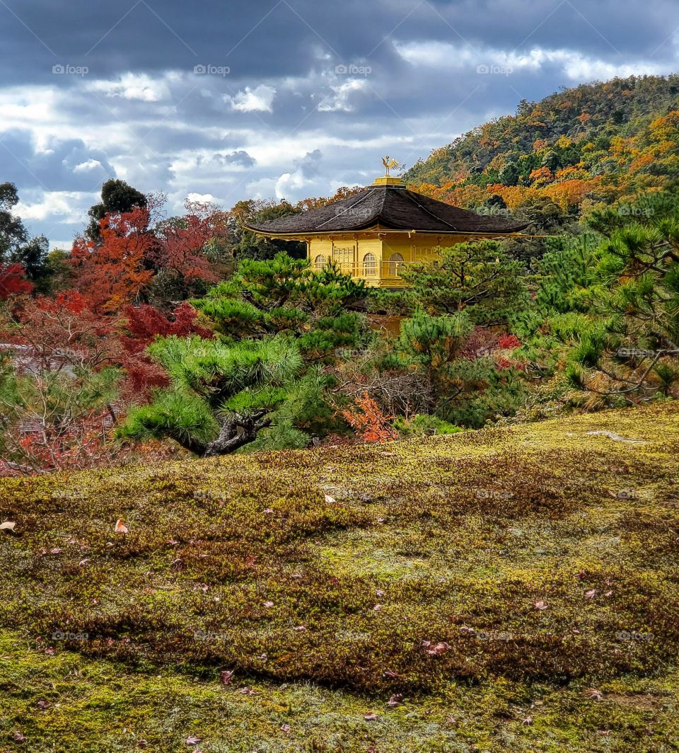 Kinkaku-ji in Kyoto