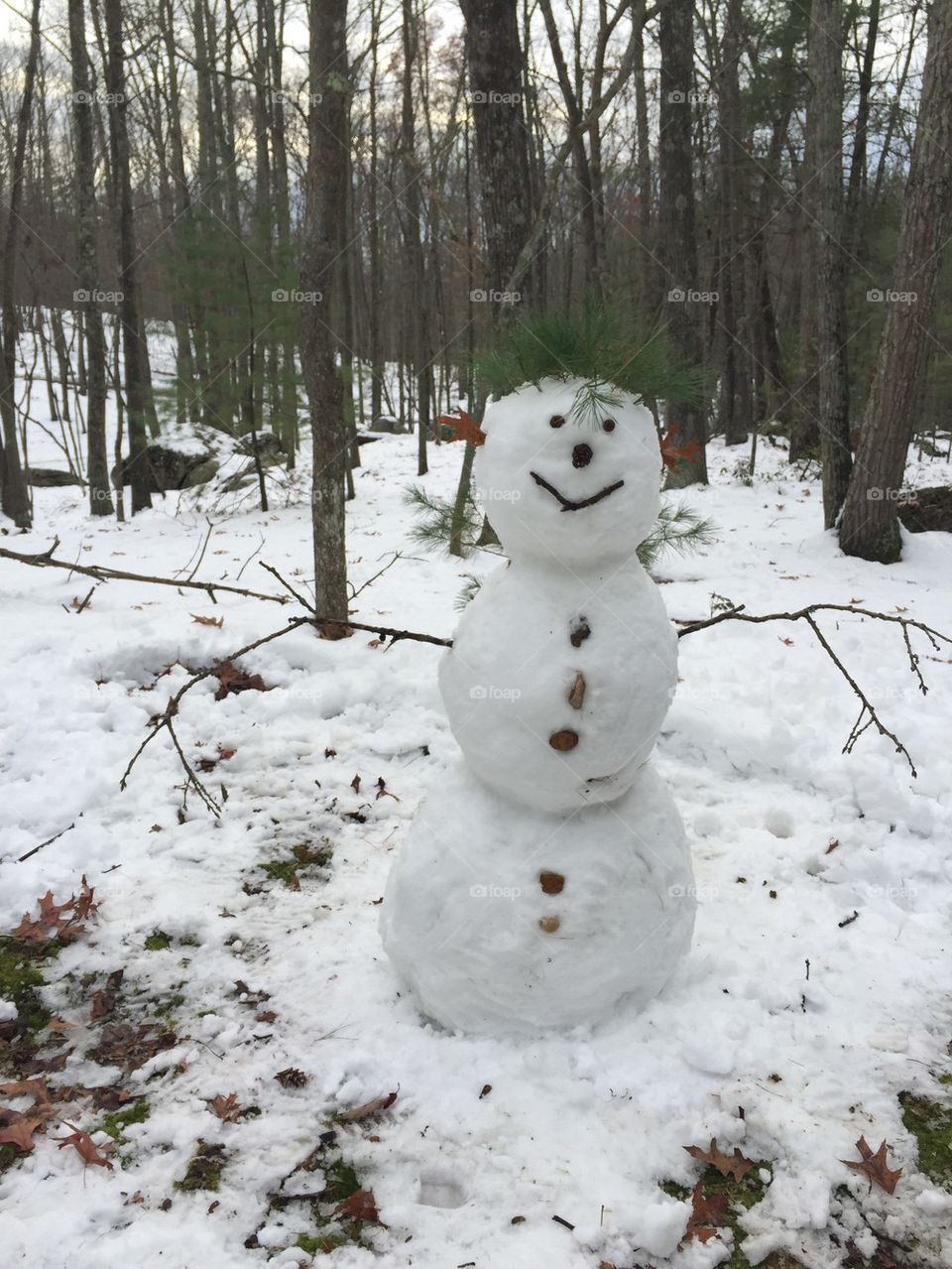 Woodland Snowman