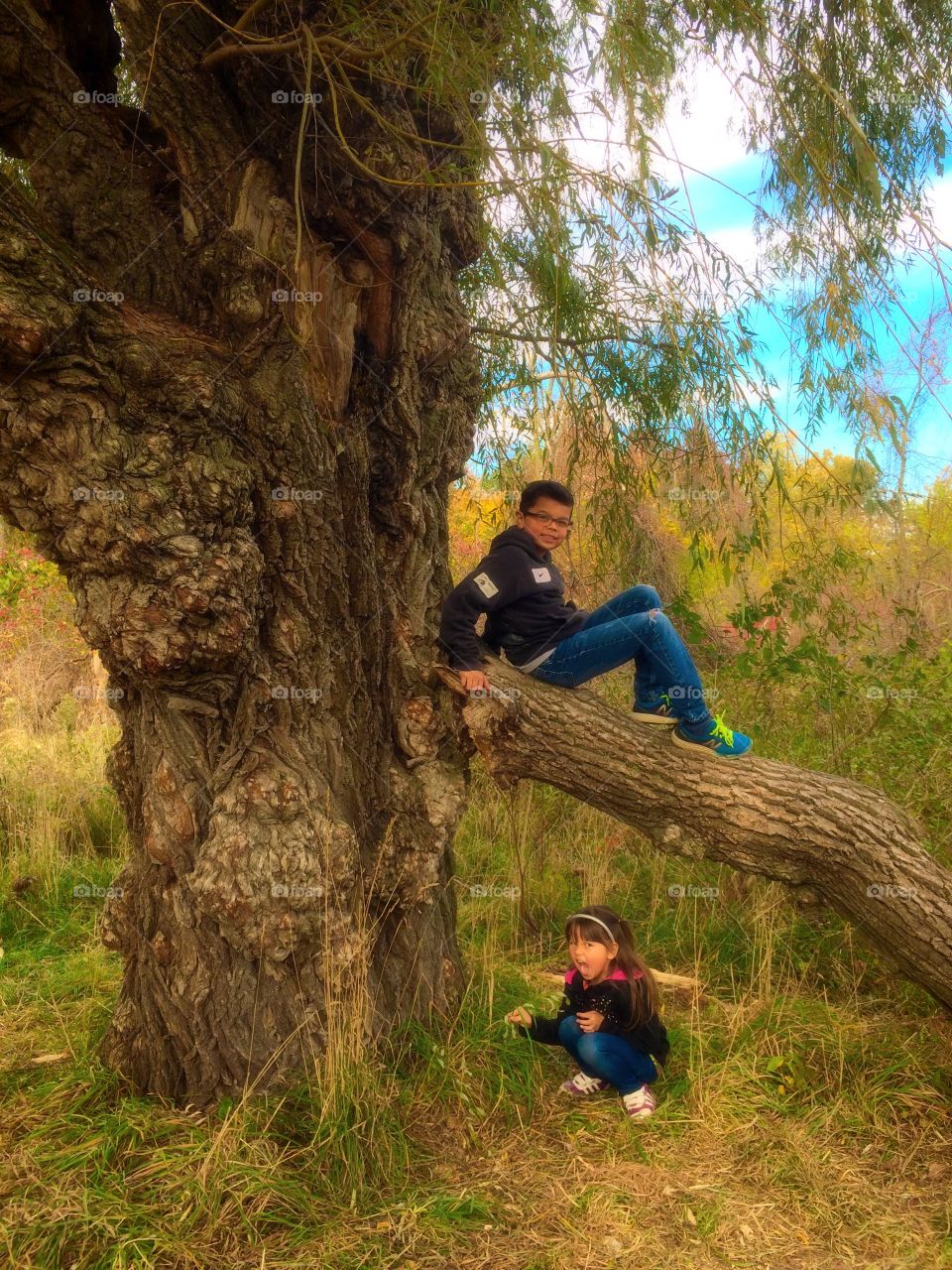 Children in a tree 