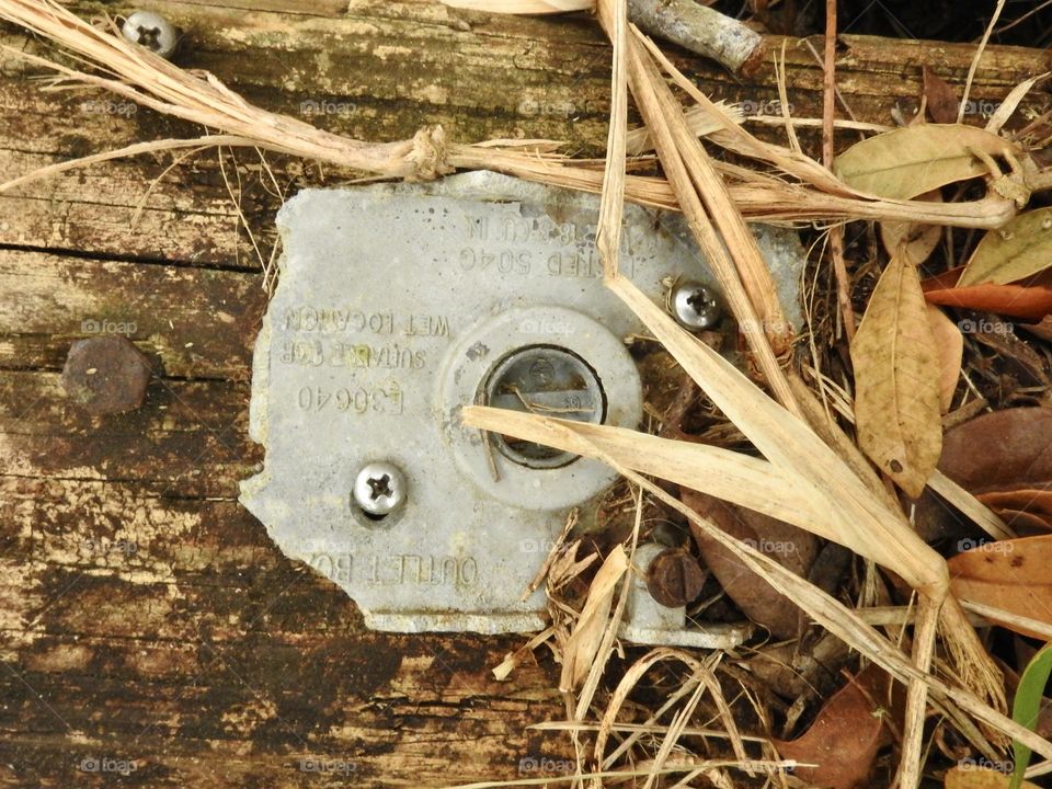 Fall atmosphere with old broken thrown out wood with dry long grass and leaves with an old broken metal plate with screws.