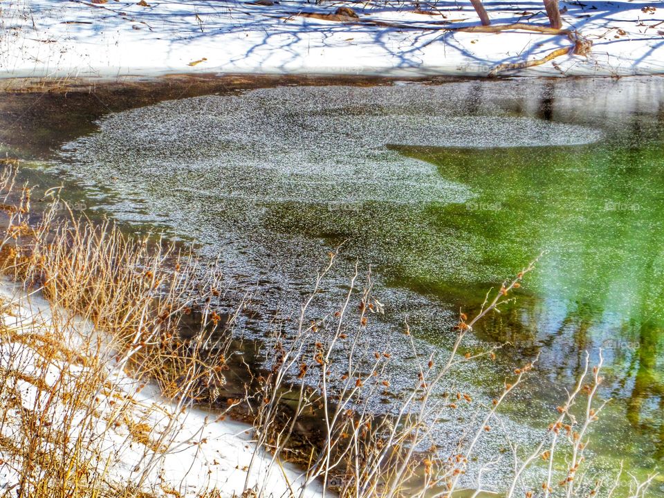Frozen Pond