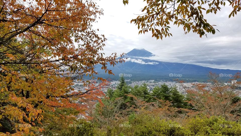 Views of Mount Fuji