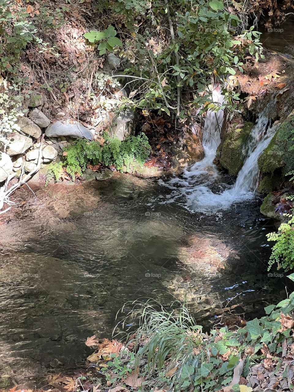 A stream with a small waterfall falling into a pond
