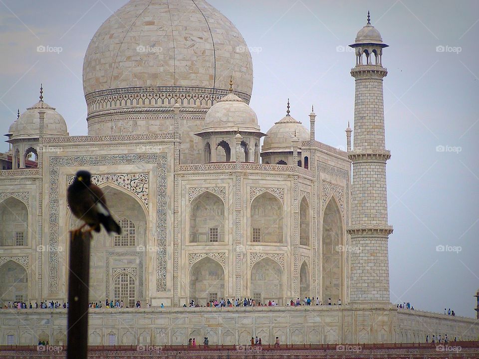 Taj mahal