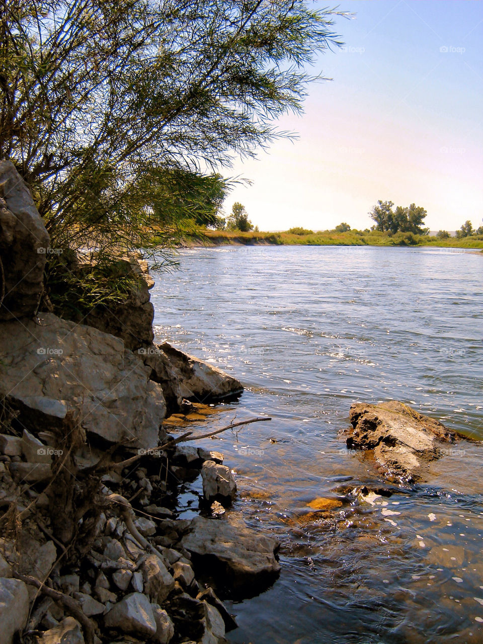 nature trees water rocks by refocusphoto