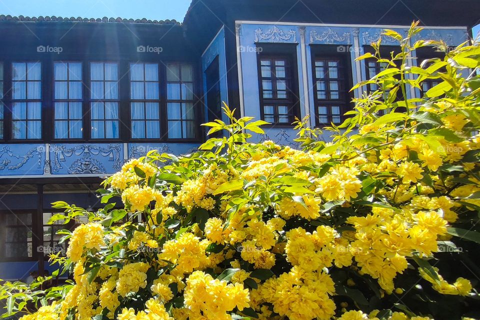 Complementary Colors