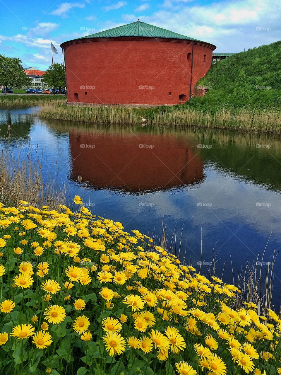 Reflection in colour