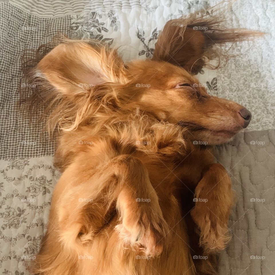 My little Angel sleeping 💖