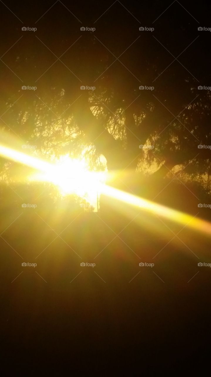 A Ray , many beams .... among and thru
this Tree with leaves..... how simple
Yet powerfull ... to see golden beam rays
Shining thru branches... leaves. ..and
My day.... how cool to see... and powerfully pretty to me.