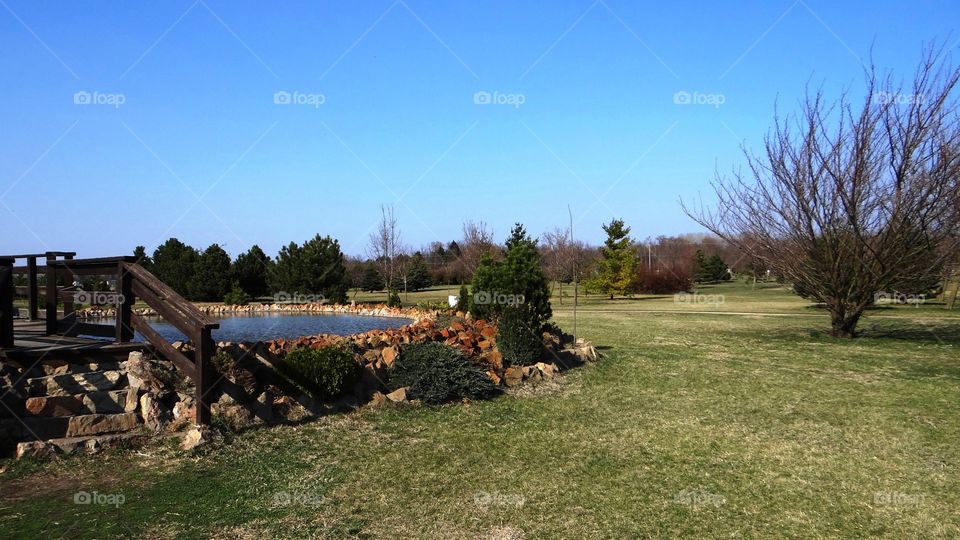 Little lake on a farm