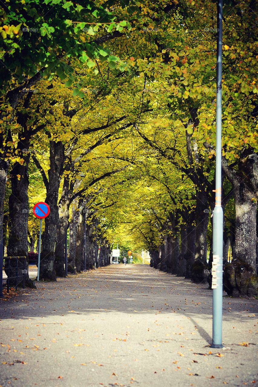 Alley in the city