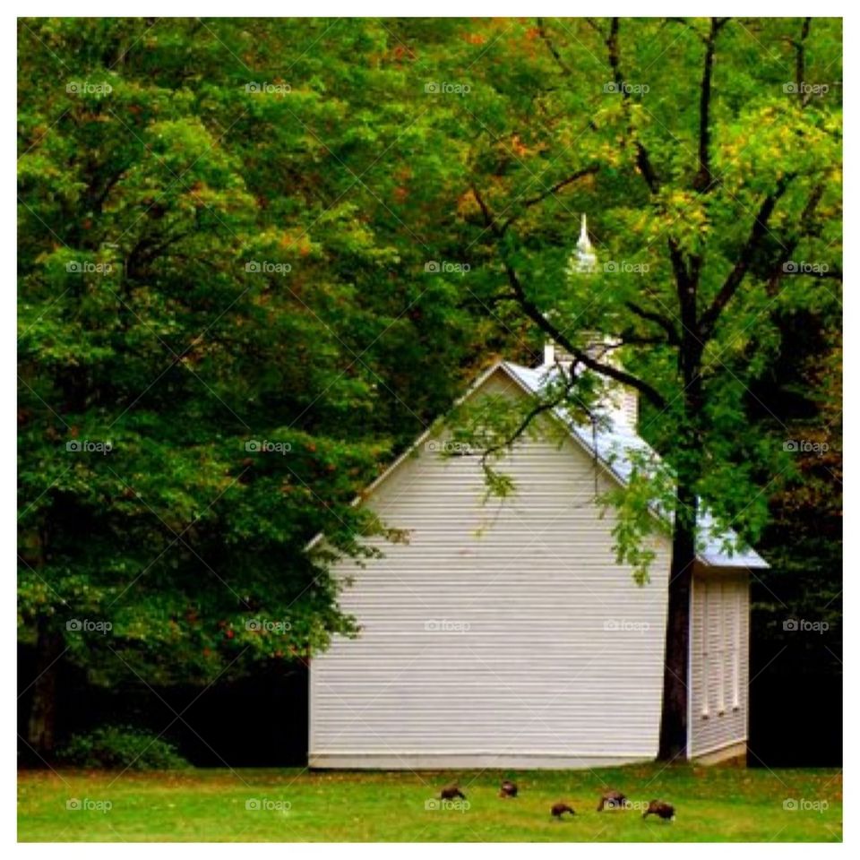 Whitewashed Country Church