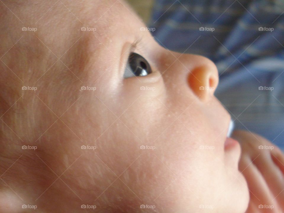 Portrait of a newborn 