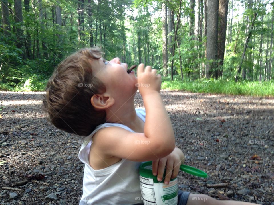 Young boy in the woods in the summer, eating a snack.