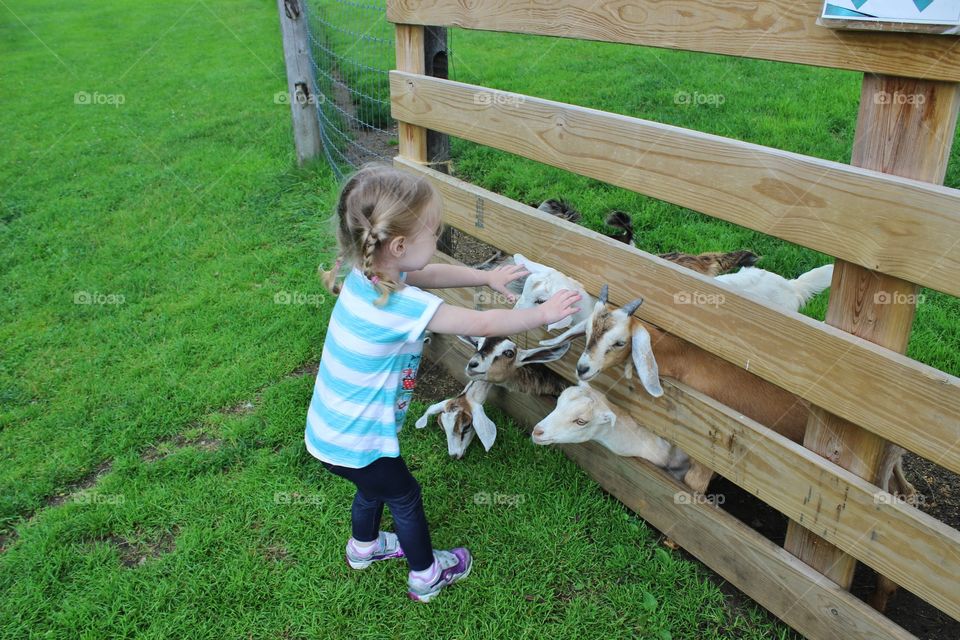 Child, Grass, Summer, Little, Nature