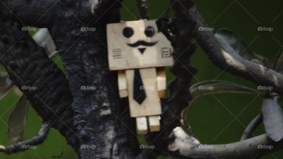 Woodman