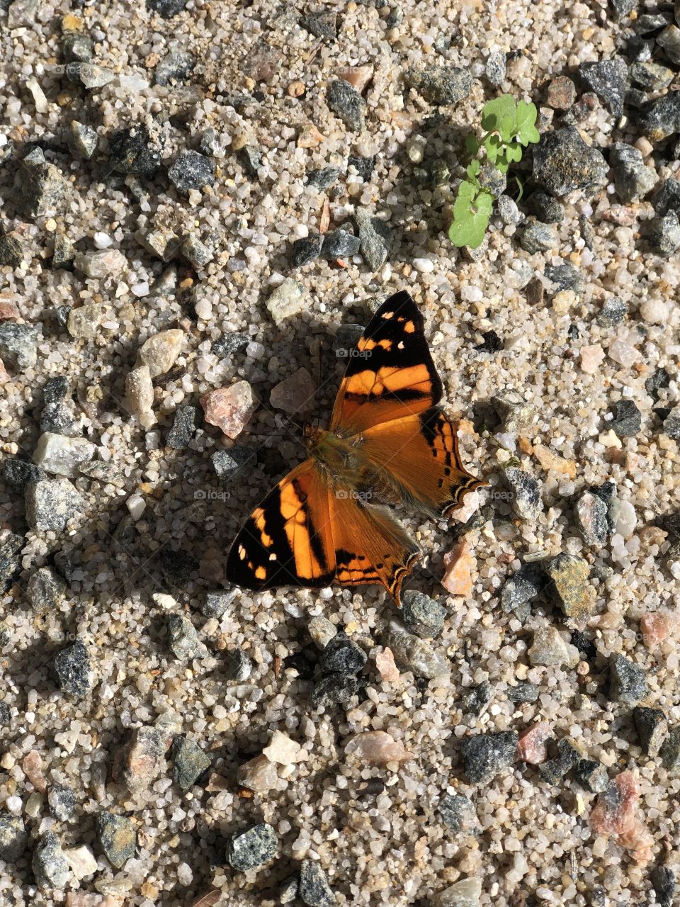 nature is something really beautiful!