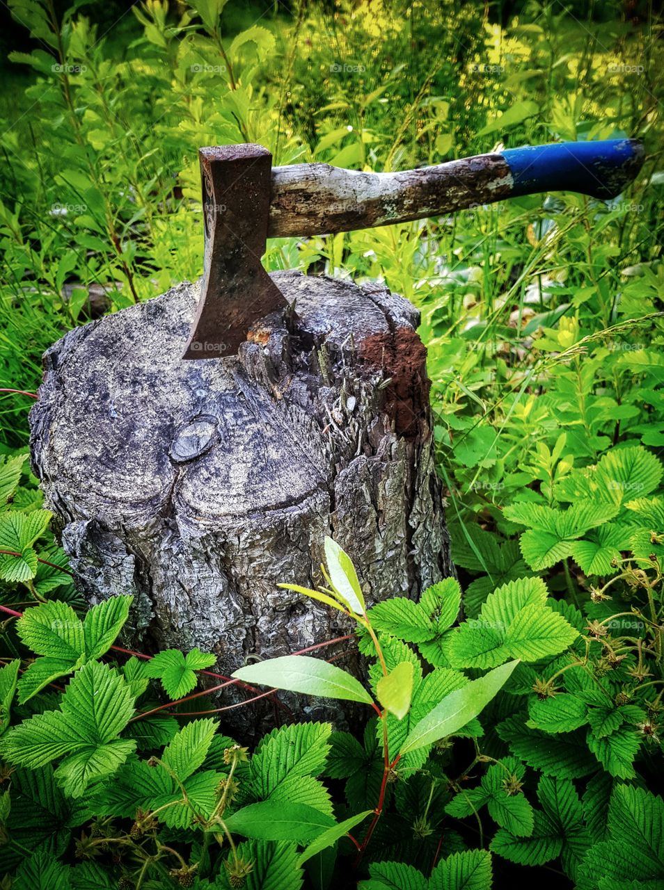 Axe in a log