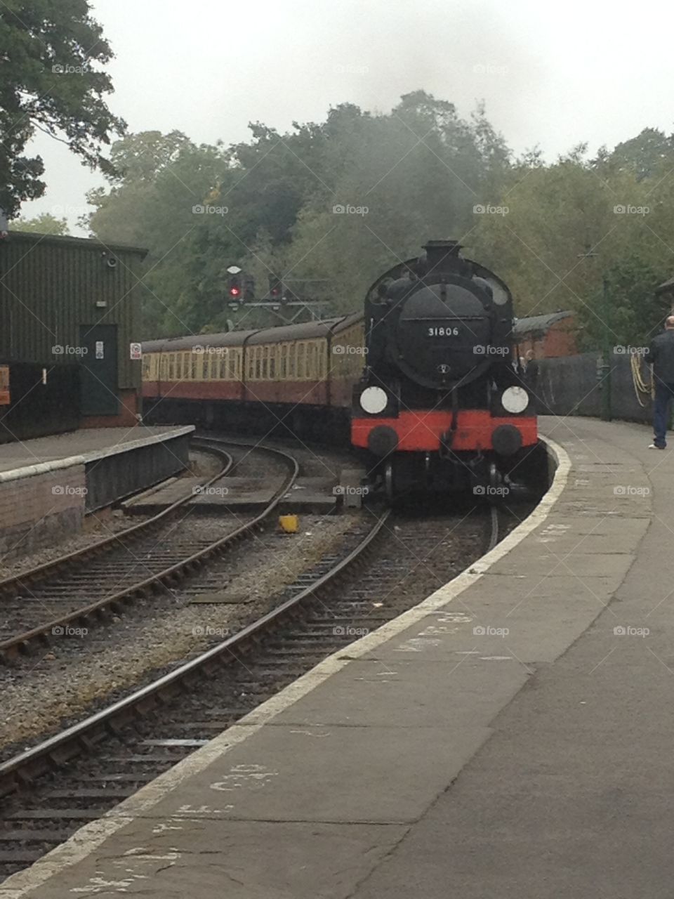 Steam train coming into the station