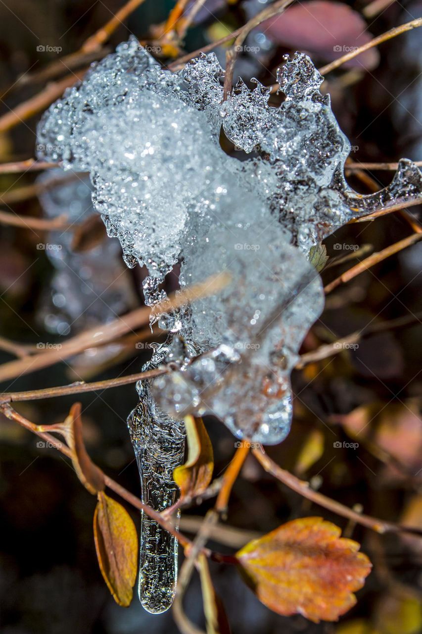 Icicle.