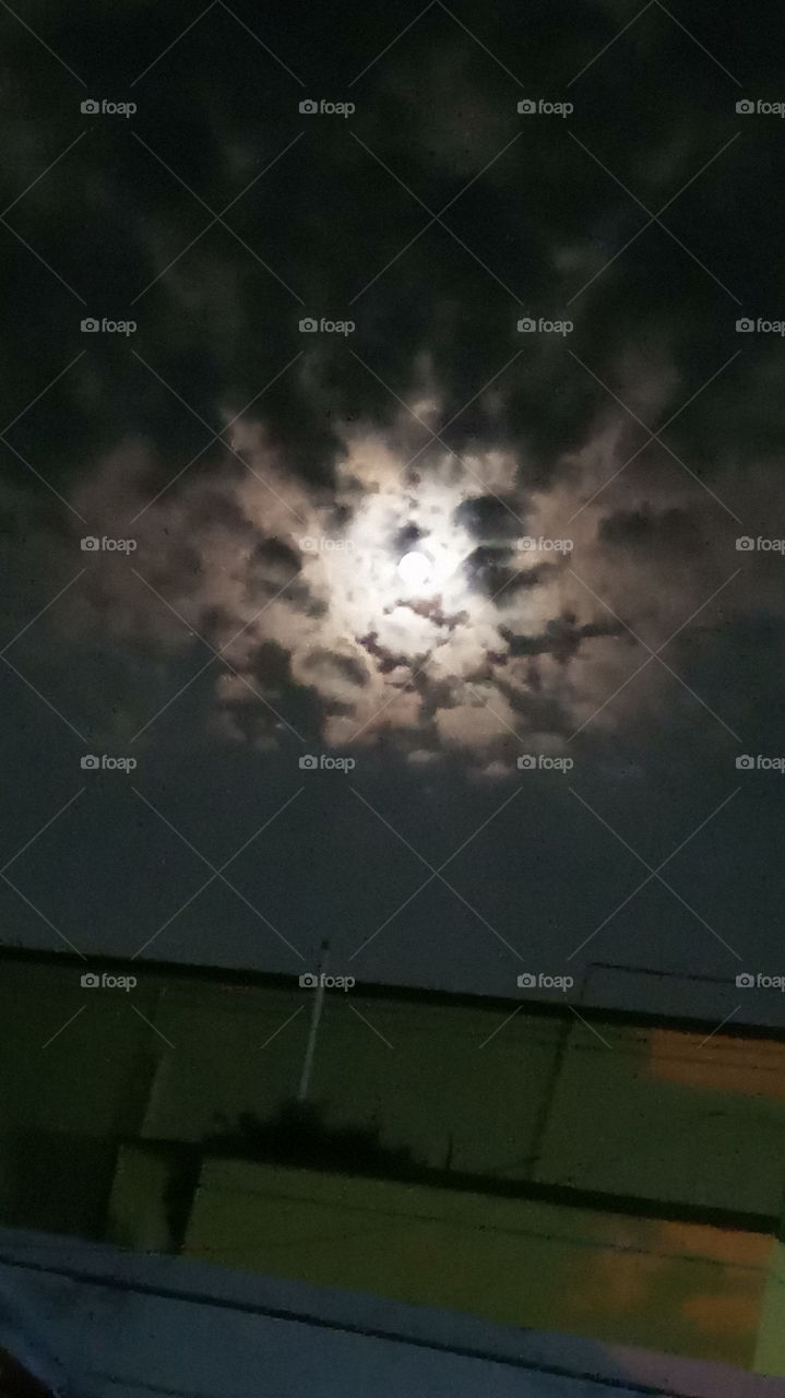 The full moon raise in the sky evening click