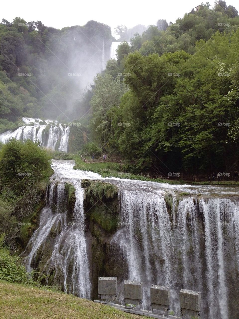 Waterfall in forest