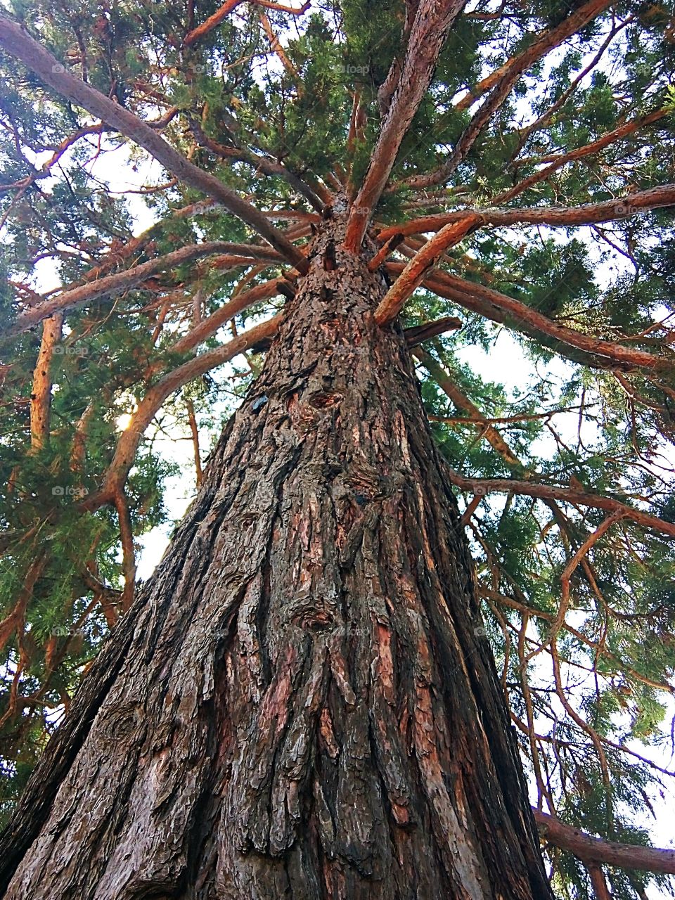 Looking for infinity