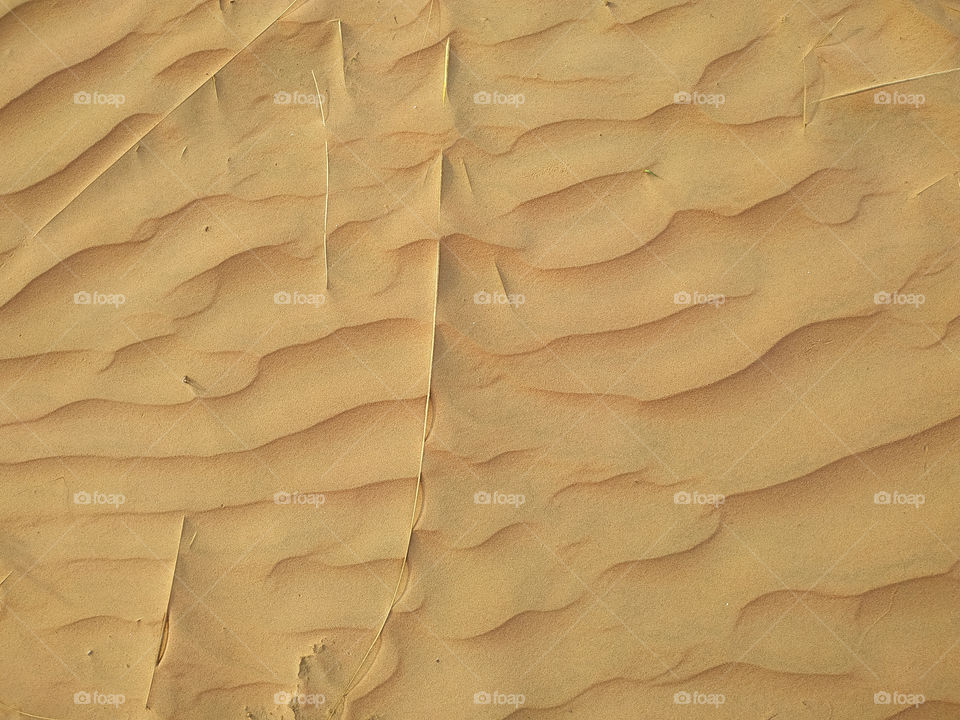 A closeup of sand dune texture