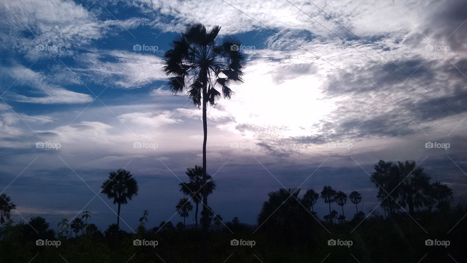 Sun in the backcountry