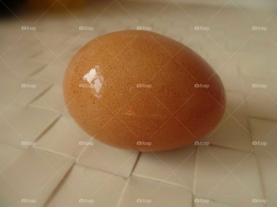 egg  close up