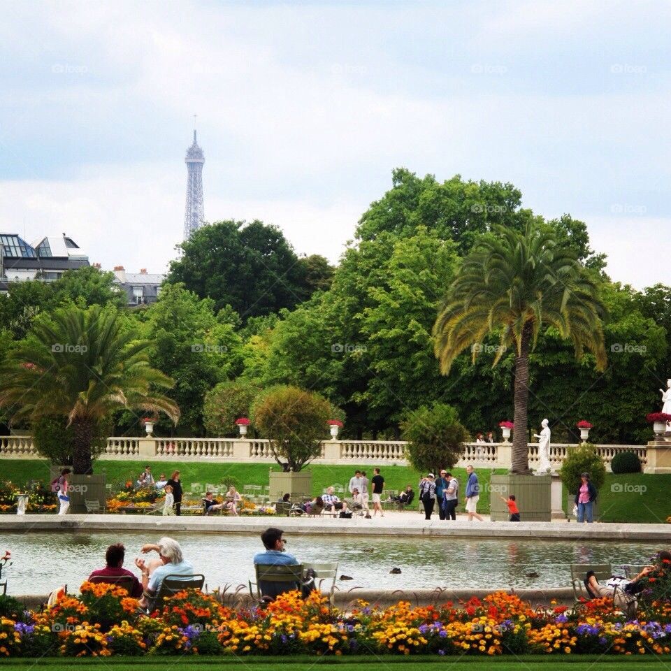 Paris in Summer 