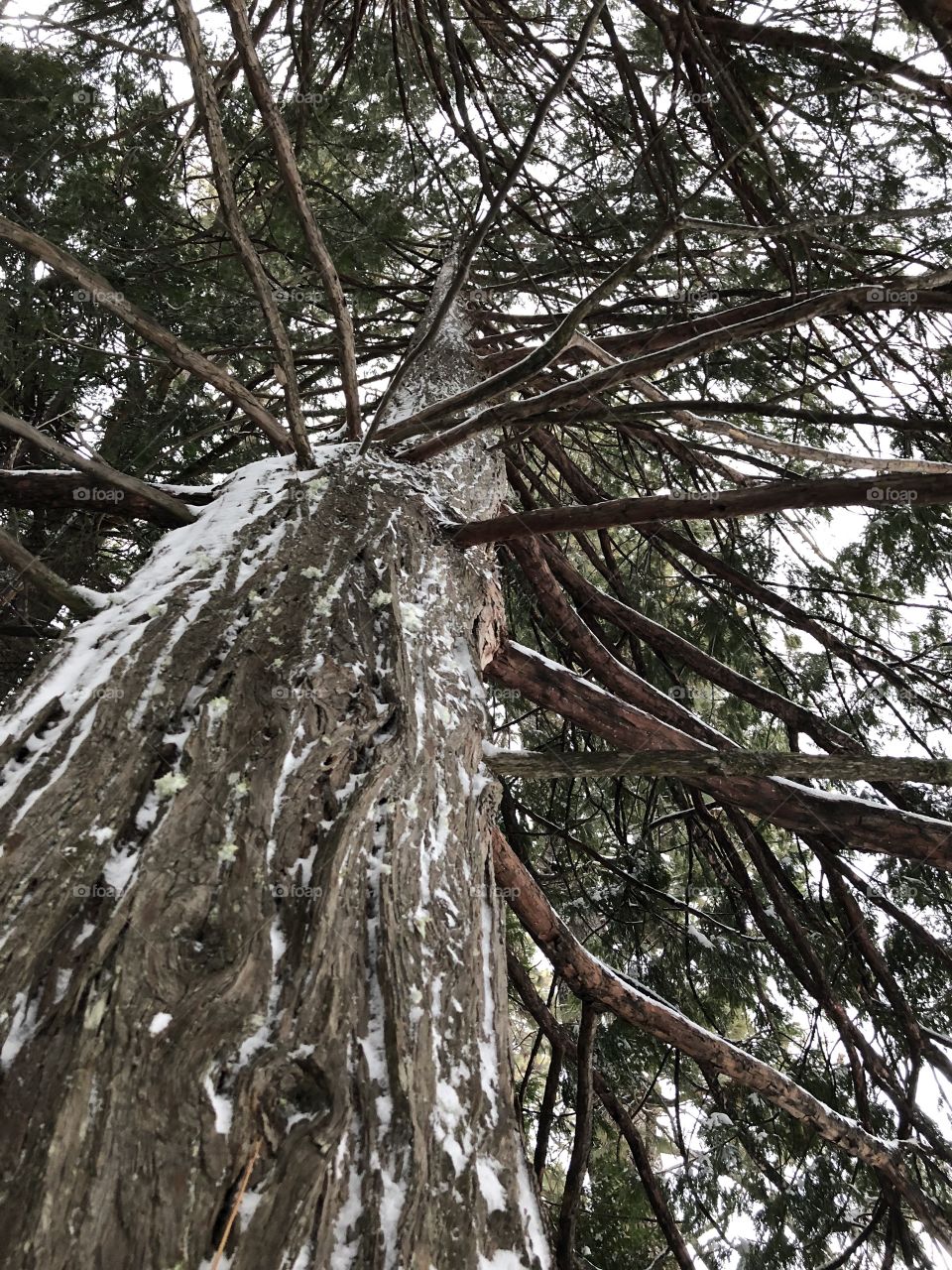 From a different perspective 