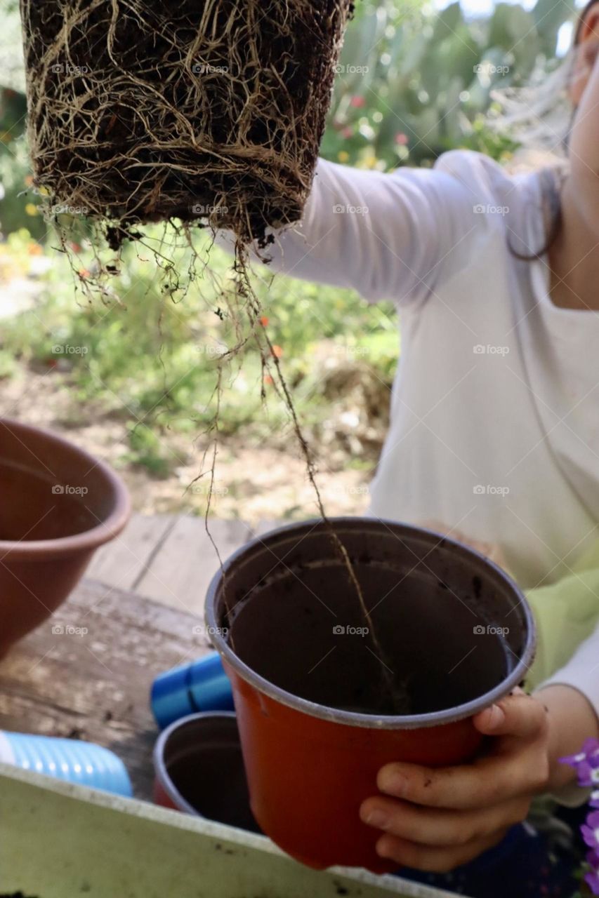 A girl taking out plant for planting 