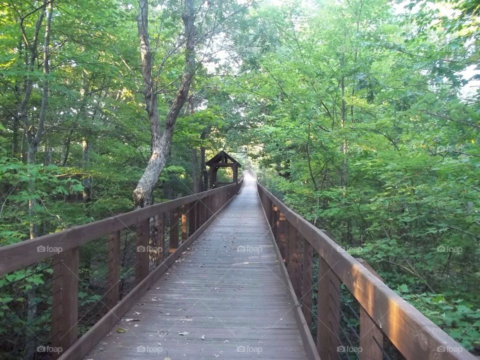 Cheaha Bridge