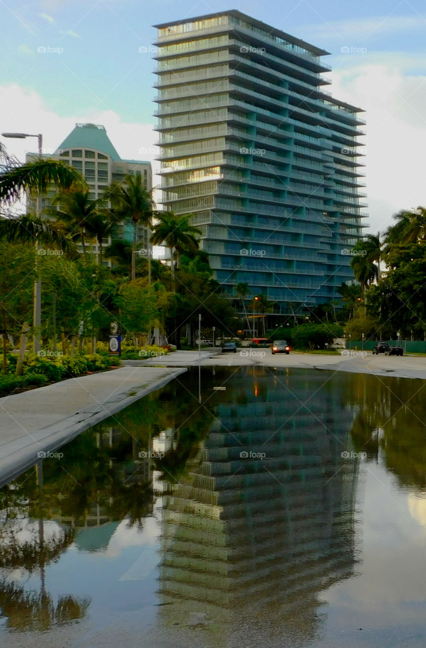 Reflection after a rainstorm in Miami!