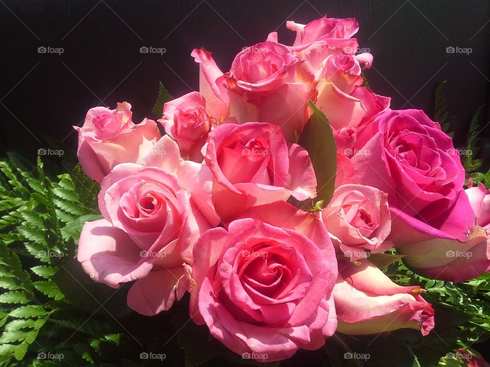 pink roses. wedding roses