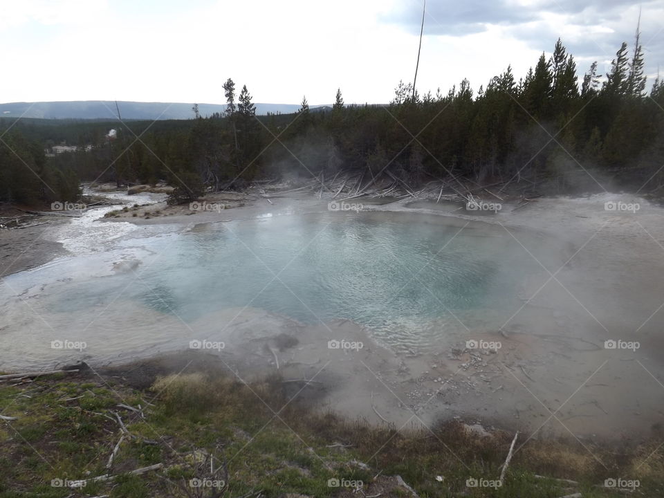 Thermals. Yellowstone national park